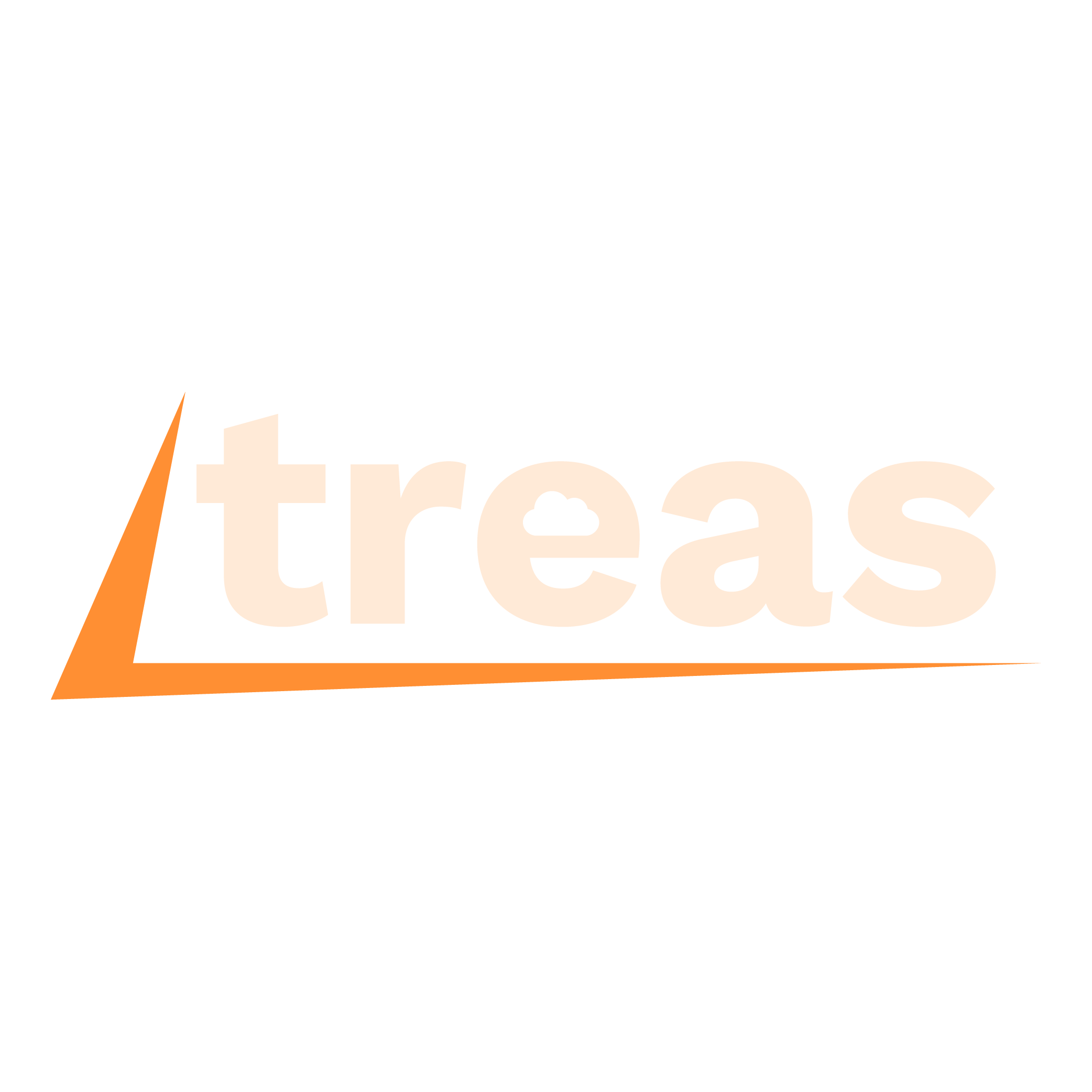 Treas Erişilebilirlik Monitörü